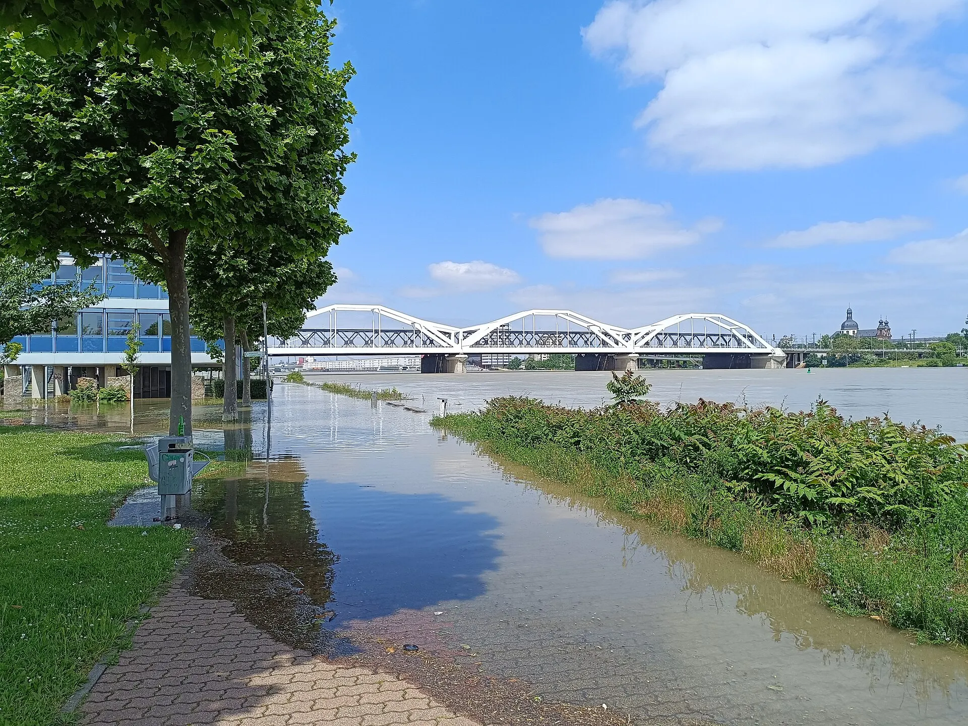 Luitpoldhafen am Rheinufer Sud in Ludwigshafen